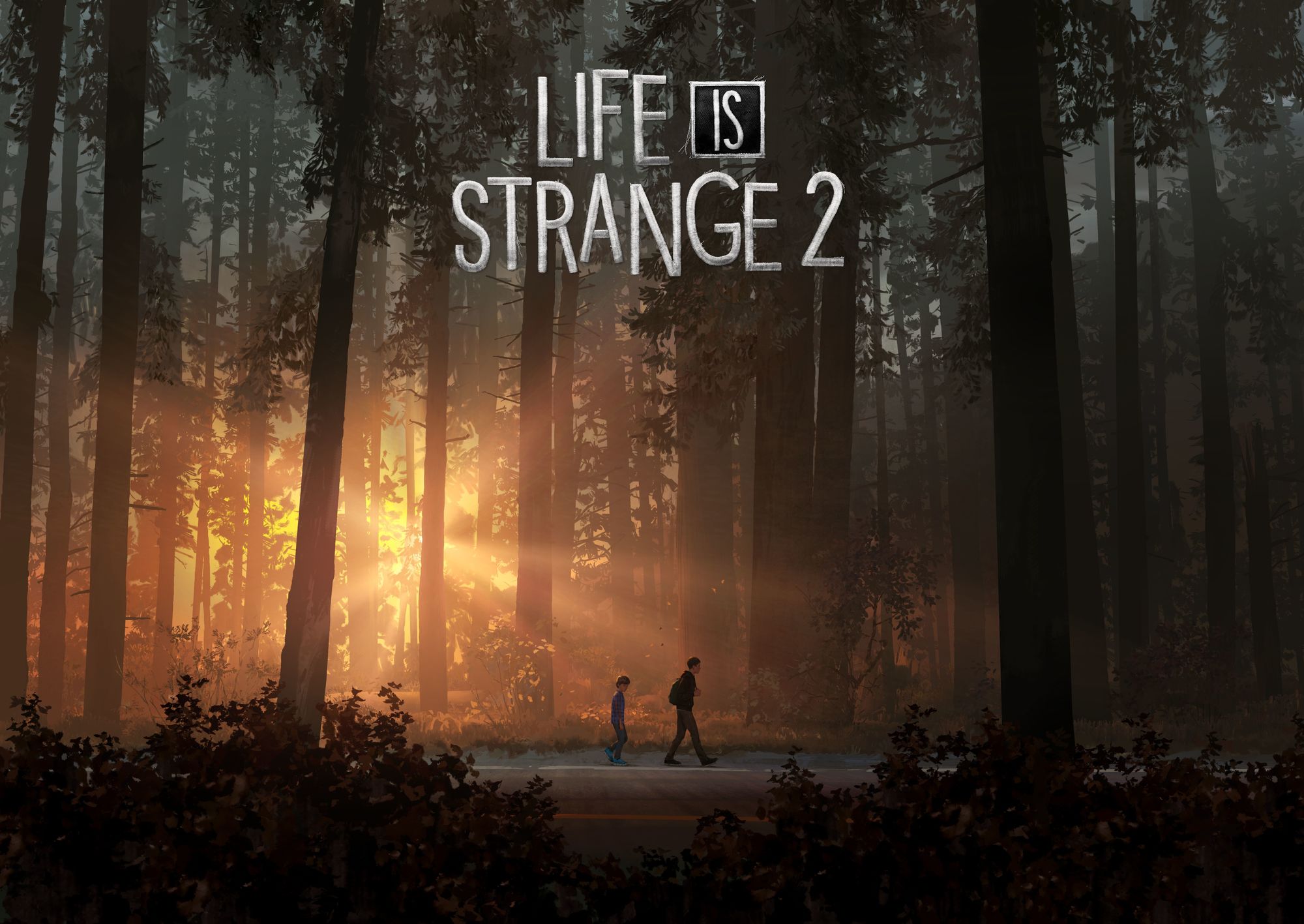 life is strange 2 drawing