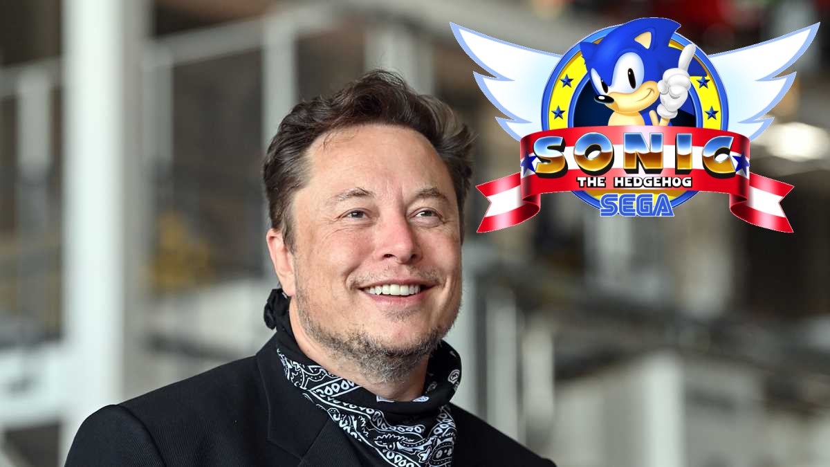 Elon Musk Sonic